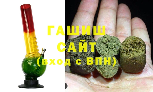 шишки Бородино